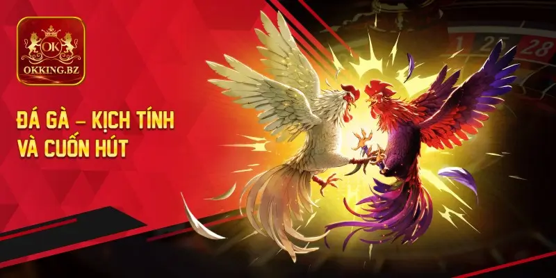 Đá Gà – Kịch Tính Và Cuốn Hút
